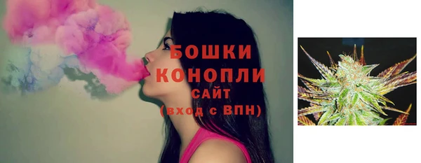 мет Щигры