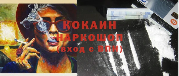 стафф Шадринск