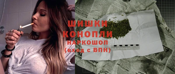 PSILOCYBIN Дмитровск