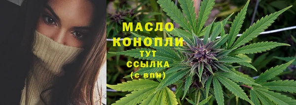 соль ск Шали