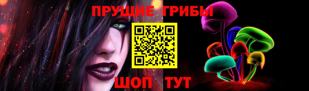 Галлюциногенные грибы GOLDEN TEACHER Заводоуковск